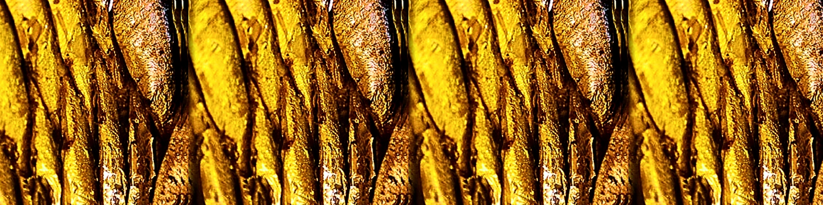 Kolāža (horizontali) - šprotes - simbolizē drūzmu Latvijas kopņu tirgū.