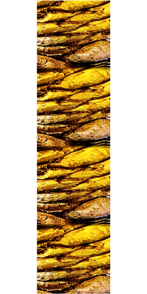 Kolāža (vertikāli) - šprotes - simbolizē drūzmu Latvijas kopņu tirgū.